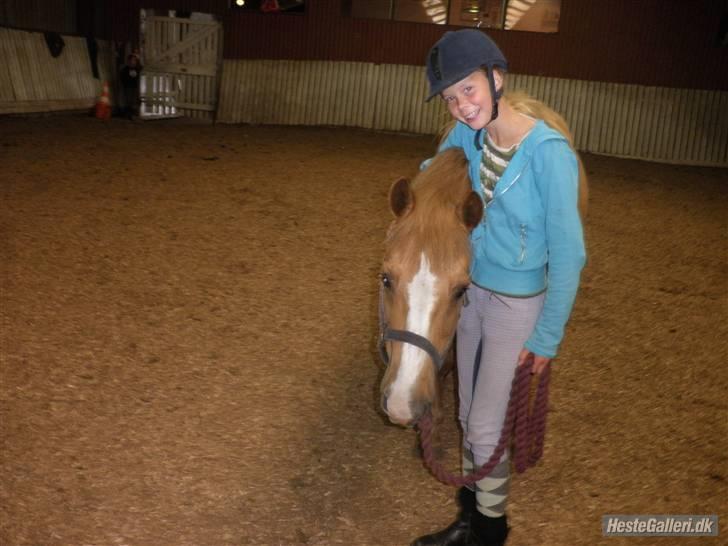 Anden særlig race Cavaliére Cadeau:) - du er den bedste Cadeau billede 5