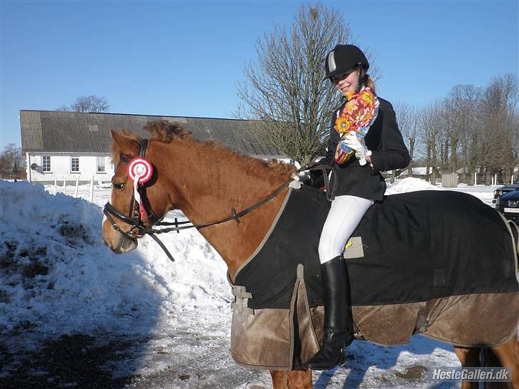 Anden særlig race Cavaliére Cadeau:) - Sådan cadeau en 1. plads:)<33 billede 6