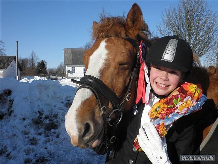 Anden særlig race Cavaliére Cadeau:) - SMIIIIIIIIIIIIIIIIIIIIIL<33 billede 7
