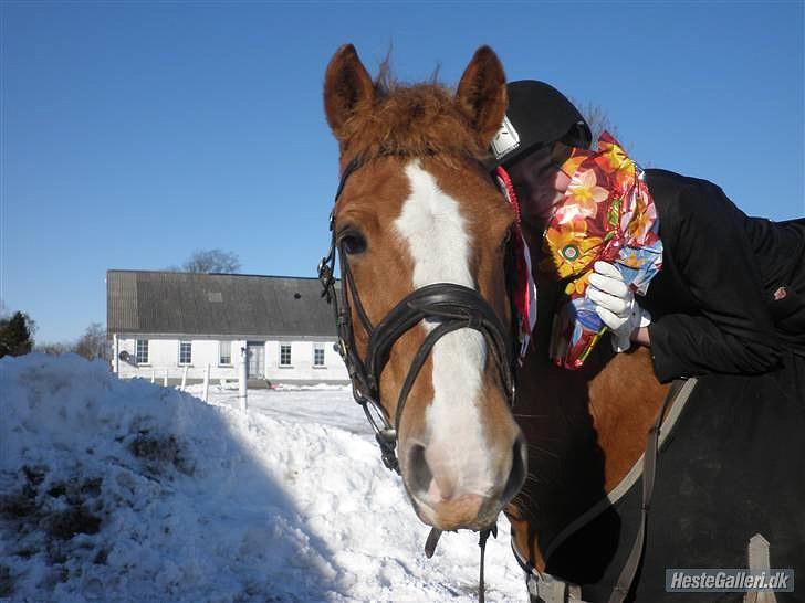 Anden særlig race Cavaliére Cadeau:) - er vi ikke bare søde billede 8