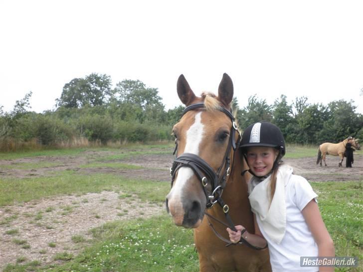 Anden særlig race Cavaliére Cadeau:) - du er super dejlig Cadeau billede 10