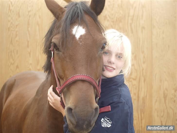 DSP Bæklunds Lavét  SOLGT (R.I.P) billede 7