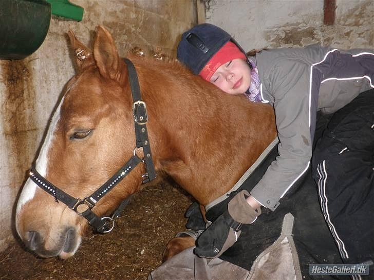 Anden særlig race Cavaliére Cadeau:) - vi er bare så flotte og søvnige d:  billede 20