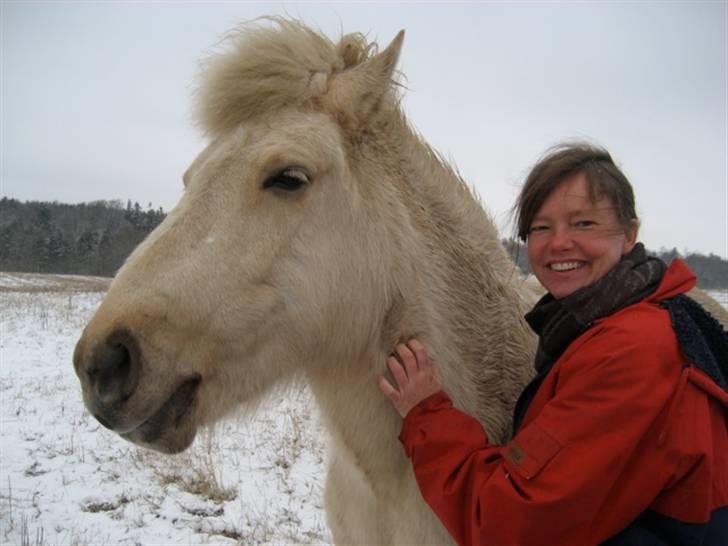 Islænder Gloa fra Bjørnhøj - Gloa og Iben billede 2