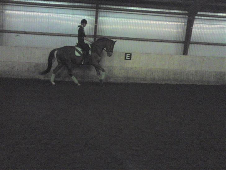 Dansk Varmblod Najaden - Najaden Og jeg d. 26-12-09 Fotograf: Mara :D billede 6