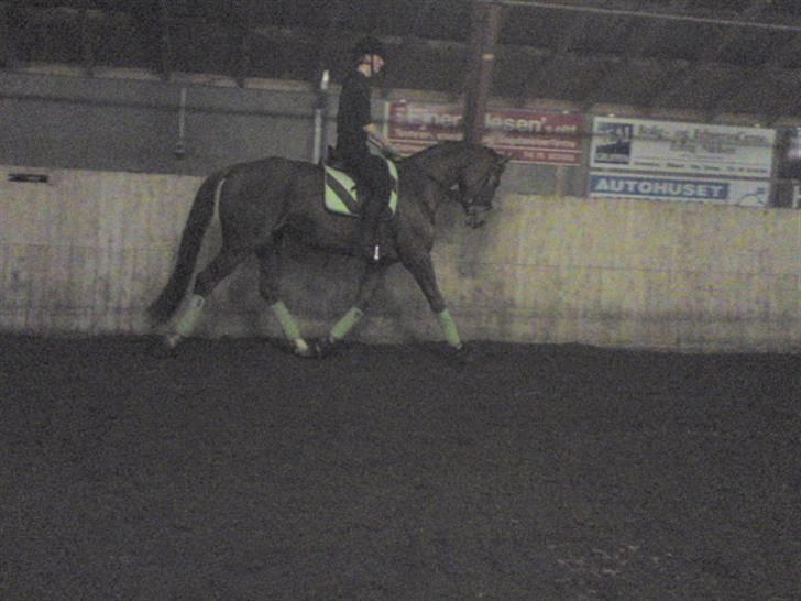 Dansk Varmblod Najaden - Najaden Og jeg d. 26-12-09 Fotograf: Mara :D billede 10