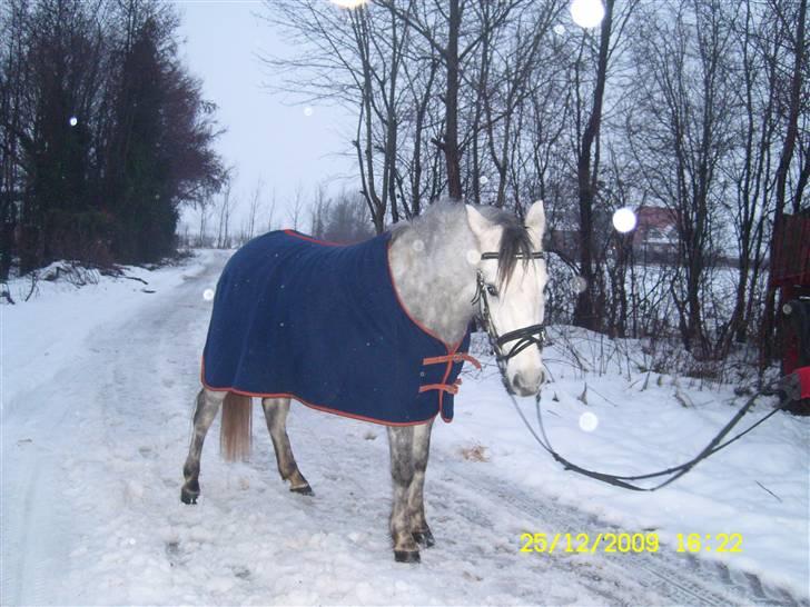 Anden særlig race *Broadway*<3 x-part!<3 billede 7