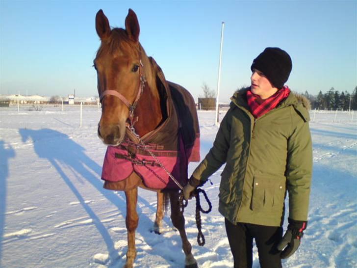 Dansk Varmblod Najaden - Pjævs og jeg i sneen :D billede 11