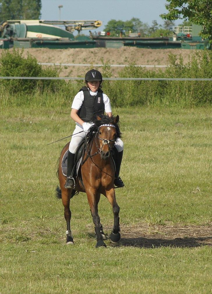 Anden særlig race Stjerne - Stine & Stjerne´s første springstævne sammen. 4 plads :* den 21 maj 2011 billede 9