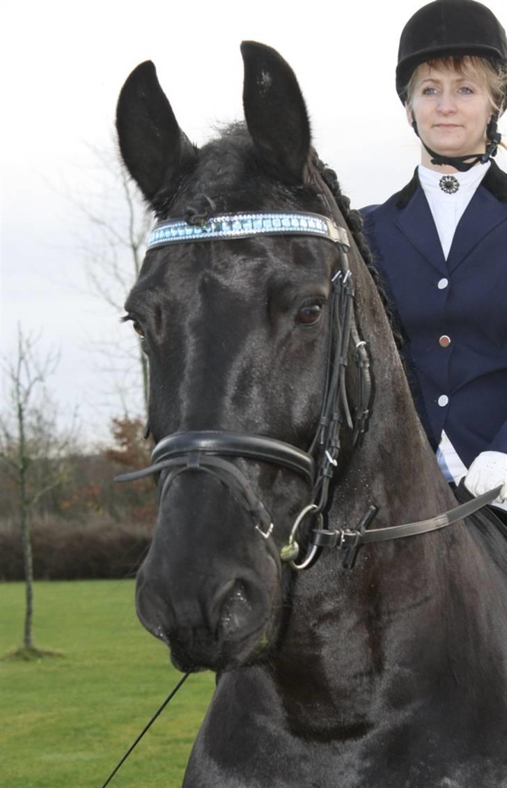 Frieser Tothøjlunds Tyson R.I.P - Lene og Tyson til distriktsstævne i ikast november 2009 billede 14