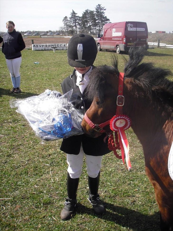 Shetlænder cookie - 1. plads lc 3 billede 5