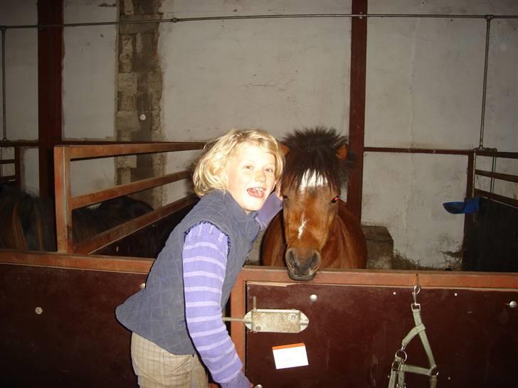 Shetlænder cookie - mig og cookie hygger billede 7