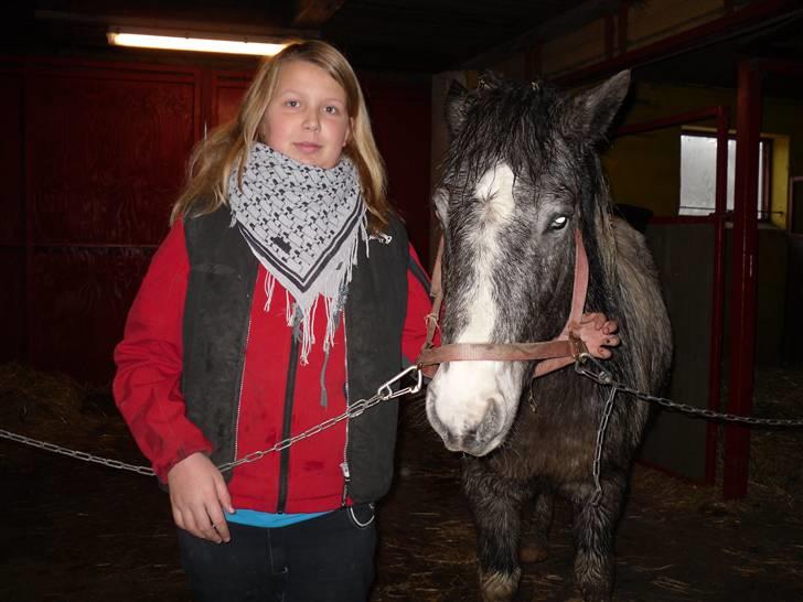 Anden særlig race Salt&Peber.. SOLGT  - Velkommen til min profil... Liva harlejet mig og jeg står på en gård der hedder Lundgård ligesom alle de andre der over fra...! billede 1