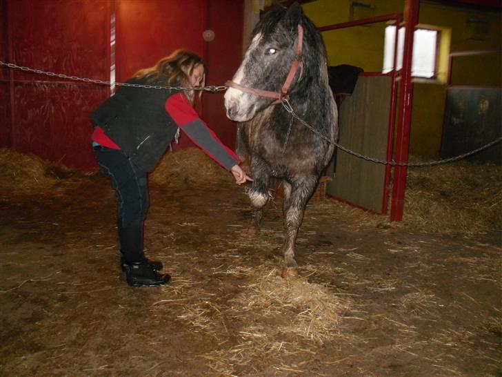 Anden særlig race Salt&Peber.. SOLGT  - See hvad jeg kan... Jeg kan løfte benet på komando....  billede 2