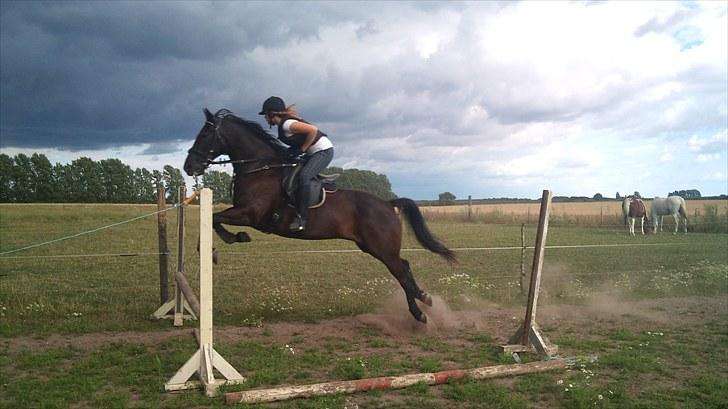 Traver zeb, R.I.P :'( ILY - billede, 2 . så kom han på fold (: . fotograf , mig :D billede 2