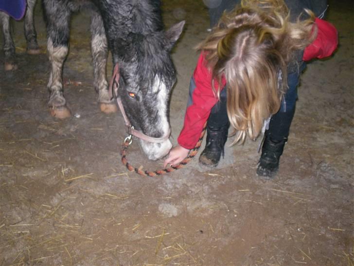 Anden særlig race Salt&Peber.. SOLGT  - Nurg hvor er du sød Pepper...<3  billede 3