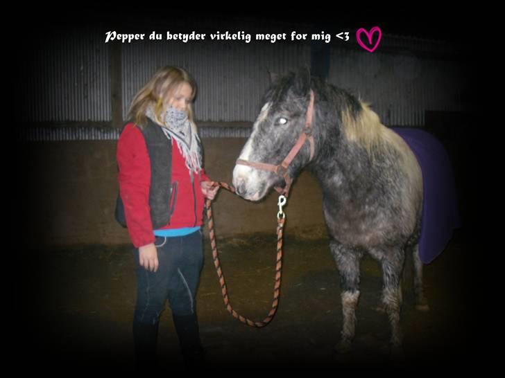 Anden særlig race Salt&Peber.. SOLGT  - Et billede jeg selv har redigeret xD Som der står betyder du meget for mig Pepper  billede 4