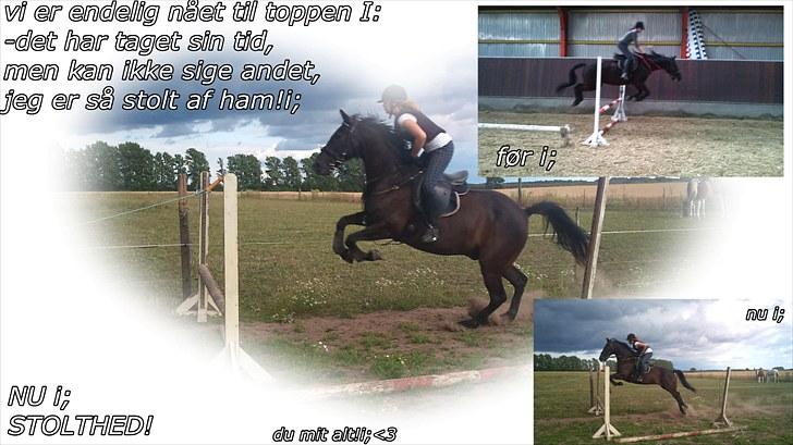 Traver zeb, R.I.P :'( ILY - billede, 3 . så kom han endelig på fold så skal der løbes (: .. fotograf , mig (: billede 3