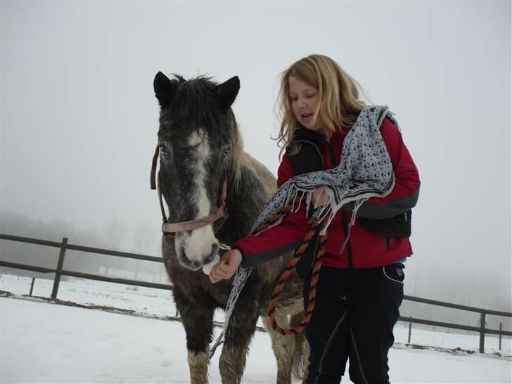 Anden særlig race Salt&Peber.. SOLGT  - Sne billede...! Uha hvor Pepper syntes sneen er kold men sjov :D billede 5