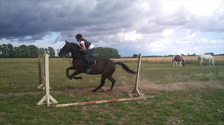 Traver zeb, R.I.P :'( ILY - billede, 4 . så squ der ruldes (: . fotograf , mig (: billede 4