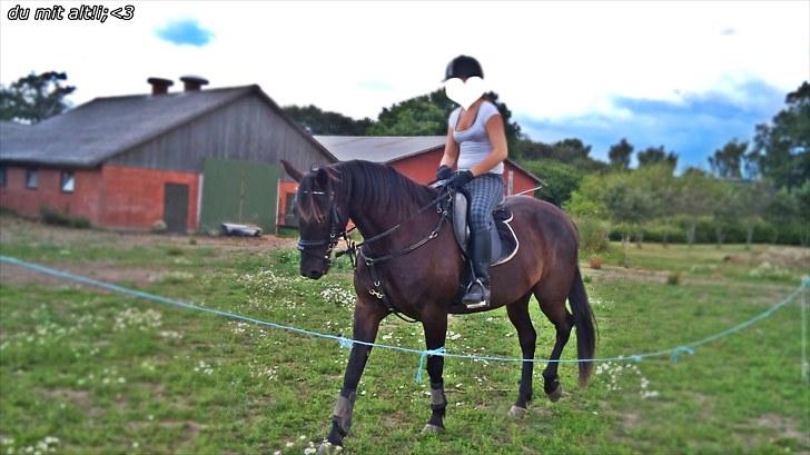 Traver zeb, R.I.P :'( ILY - billede, 5 . hygge dag (: . fotograf . mor (: billede 5