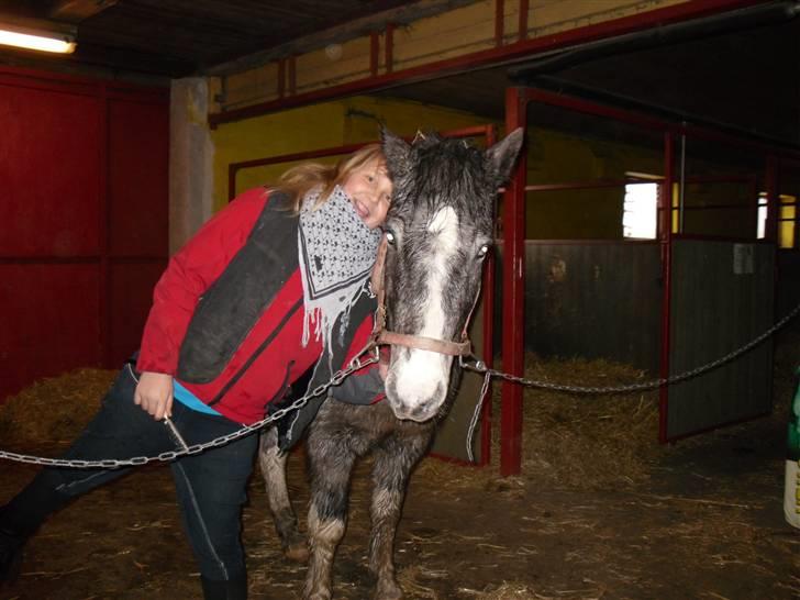 Anden særlig race Salt&Peber.. SOLGT  - Der er ingen der kan skille os ad HG se lige hvem det er det er jo verden klasse pony <3  billede 9