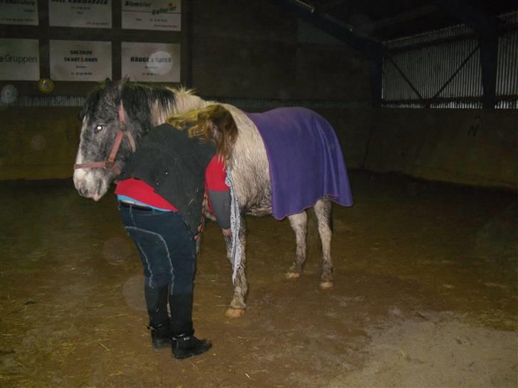 Anden særlig race Salt&Peber.. SOLGT  - Er han ikke dejlig, lækker, skøn, fantastik, en drøm, verden klasse pony osv.  billede 10