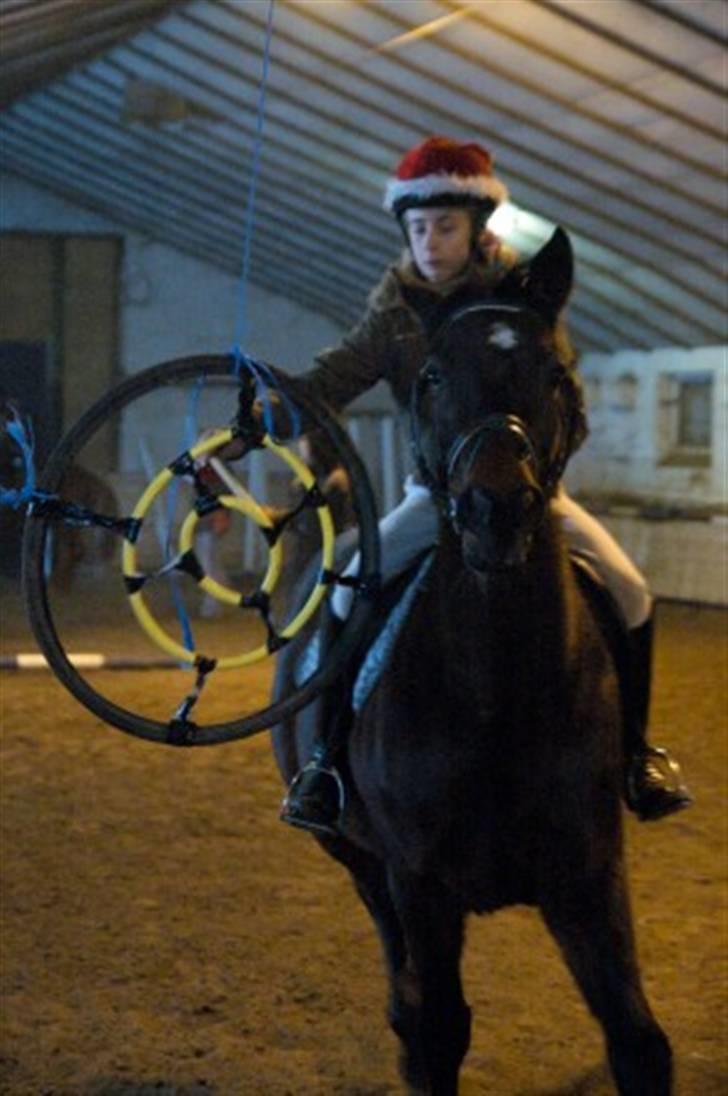 Traver Doit - ringridning :) vinteren 2009 billede 9