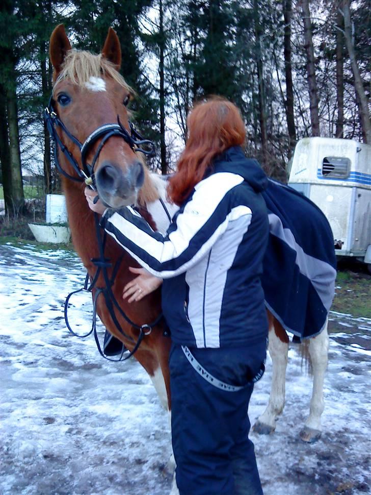 Pinto Freja < 33 Solgt :( - Jaah´ avoligt min mor var med :´(( billede 3