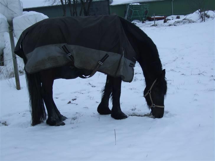 Frieser Temptation billede 8