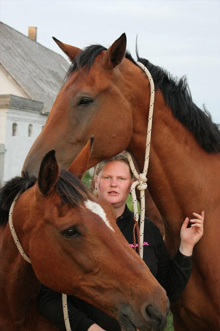 Dansk Varmblod Logo † 23-8-10 † - Tja "lille" mig kan godt gemme mig under drengen ;) billede 2