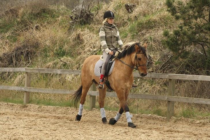 Anden særlig race Sunshine R.I.P (cushing) - Sunshine & mig  Taget af : celina billede 14