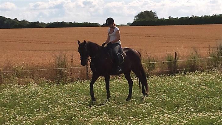 Traver zeb, R.I.P :'( ILY - billede, 8 . lige da vi var kommet ned på arg (: fotograf , pernille (: billede 8