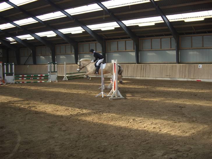 Fjordhest Susan Bøgevang - Springstævne i tune rideklub billede 3