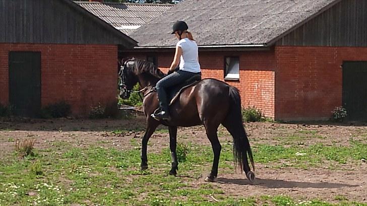 Traver zeb, R.I.P :'( ILY - billede, 9 .nede på arg (: . fotograf . pernille (: billede 9