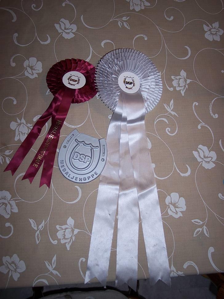 DSP Kentris Afrodite SRSDH billede 19