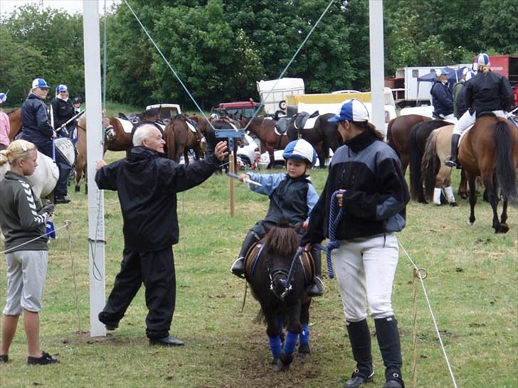 Shetlænder Speedy - 17) Markus og Speedy til Holbøl ringridning 09 :) billede 17