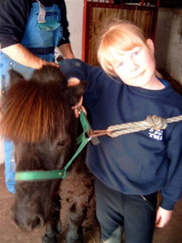 Shetlænder Speedy - 18) Den gang elskede jeg dig højt og gør det squ stadig min spidevip <3 billede 18