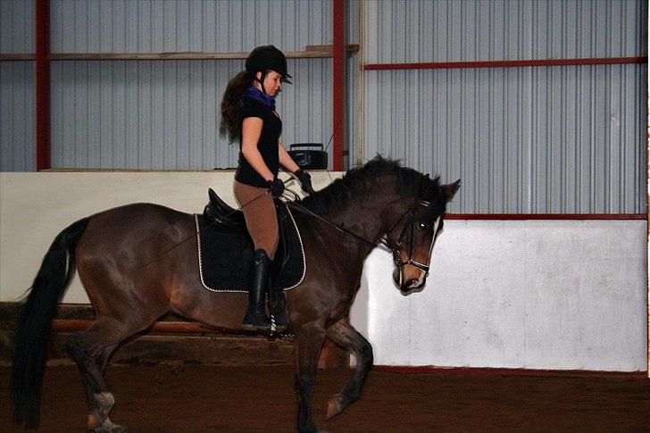 DSP Nørlunds Argentan SOLGT - hvelkommen til min profil  billede 1