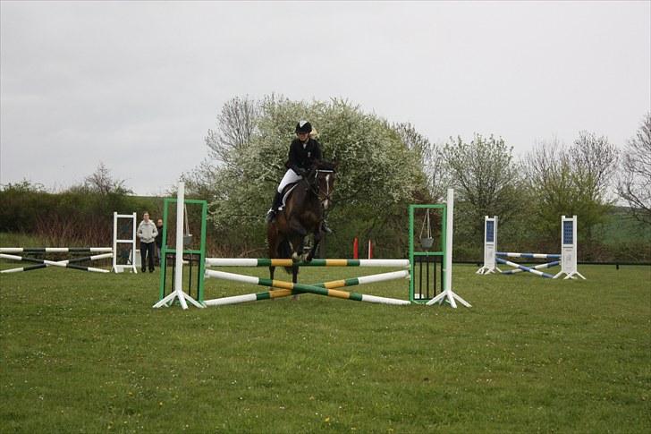 DSP Nørlunds Argentan SOLGT - første stævne LF  billede 5