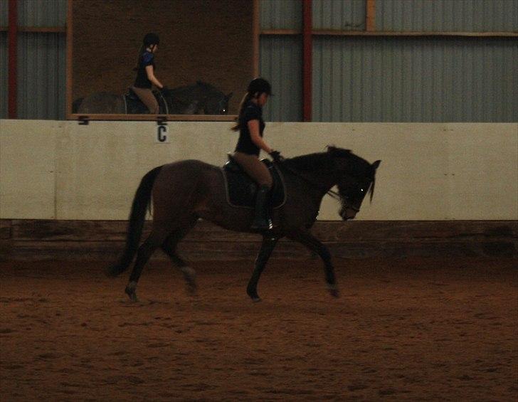 DSP Nørlunds Argentan SOLGT - nøj hvor jeg kan billede 7