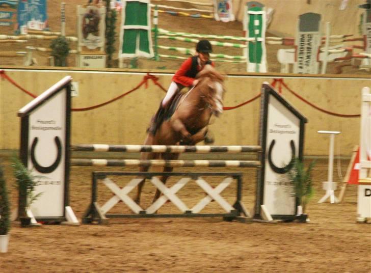 Anden særlig race Vestergårds La Chanta  billede 11