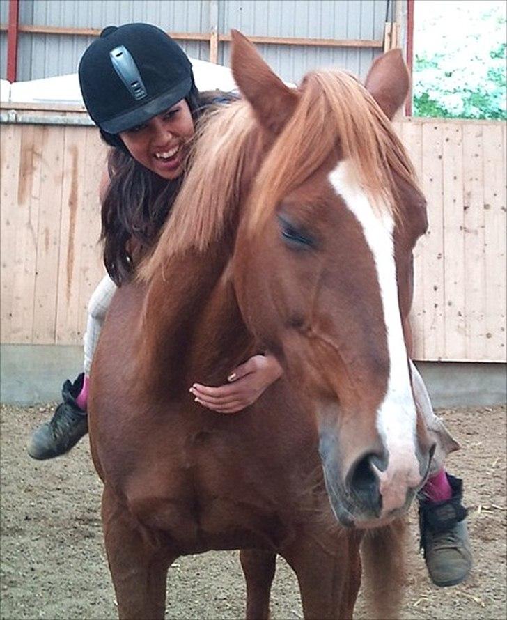 Hollandsk Varmblod ¨˜”°º• Rosa•º°”˜¨ Elsket & savnet. - Det blik, der bringer et ægte smil frem, giver ikke kun en speciel følelse, men også en grund til at føle sig speciel og det gør livet værd at leve<3

 billede 13