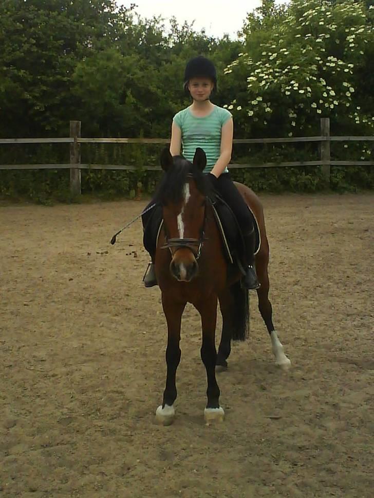 Anden særlig race Basil - Et rigtig gammelt ride billede, og vi har udviklet os meget siden! billede 3