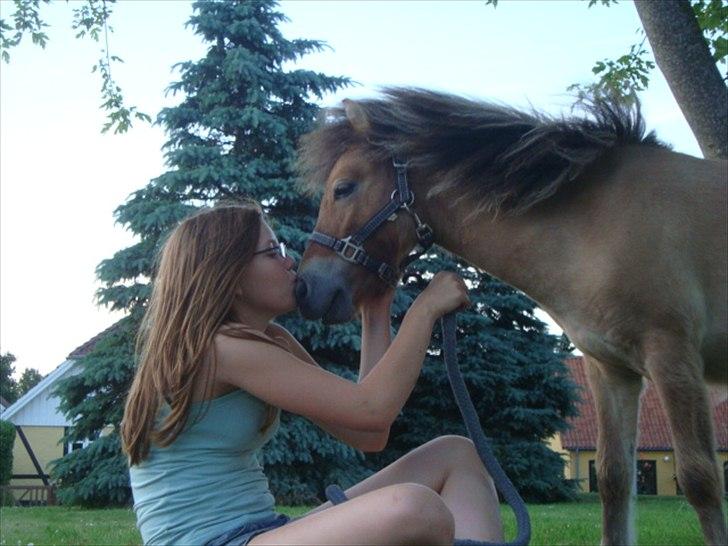 Miniature Mini Bandit - Smukke Mini <333  billede 11