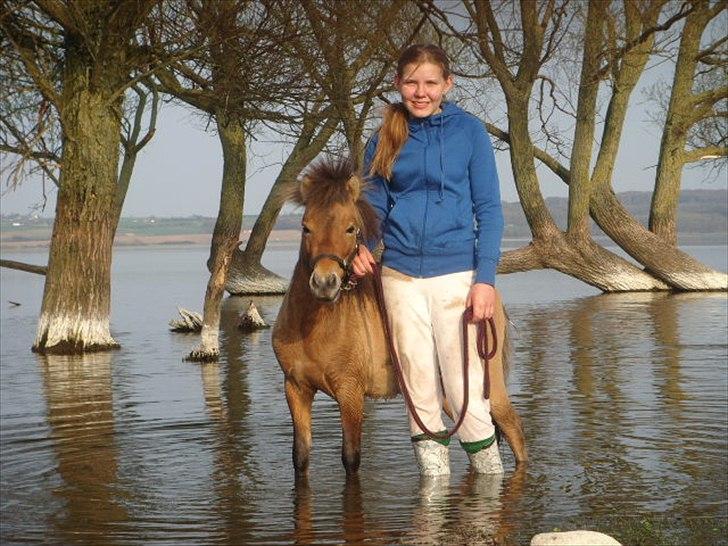 Miniature Mini Bandit - Smukt billede! :D billede 14