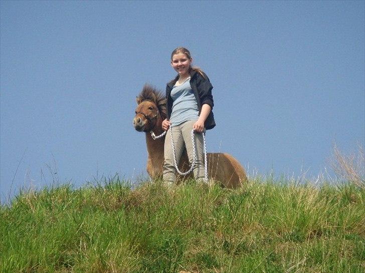 Miniature Mini Bandit - "Se Ane, en fugl!! :D billede 15