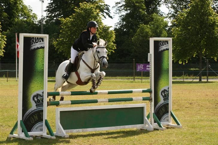 Anden særlig race La Santa - Boller lands.. - stjerne. billede 16