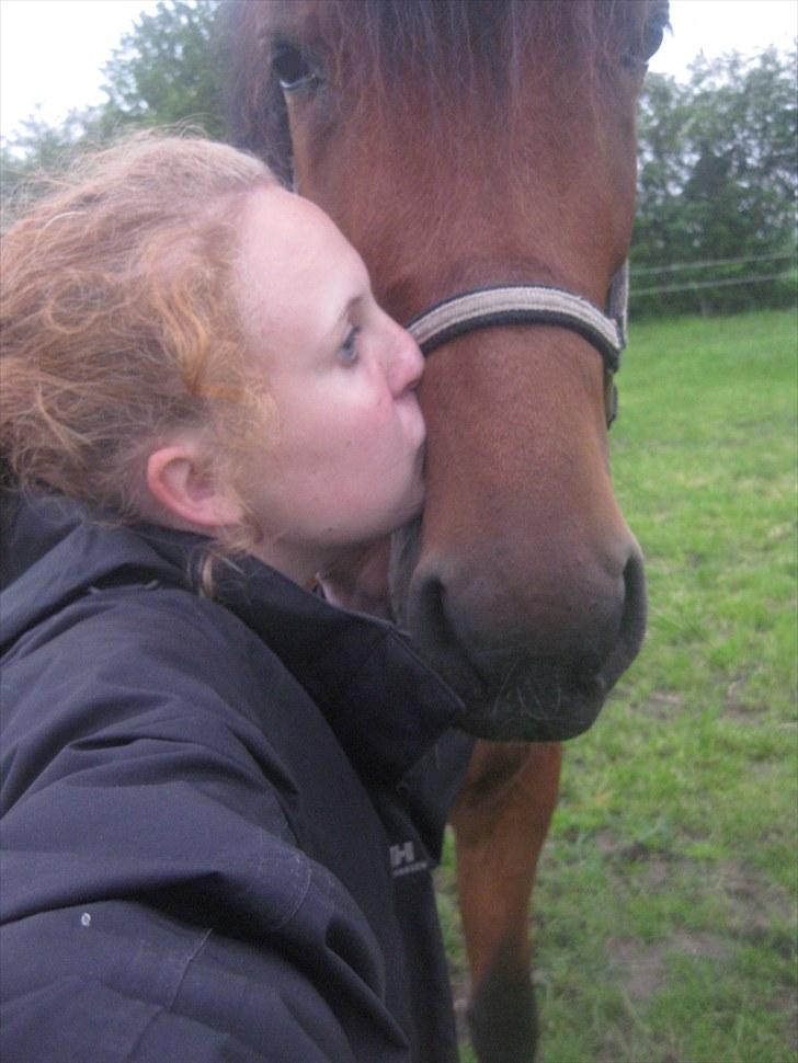 Traver Nitro Crown  - farvel min skat! - når vi atter ses igen, er jeg i himlen.  billede 20