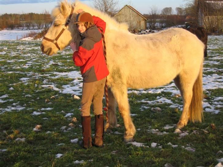 Islænder Gloa fra Bjørnhøj - Elsker dig Gloa<3<3 billede 9